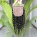 4x4 Kinky Curly Silk Top Closure,Brazilian Human Hair Silk Base Lace Closure